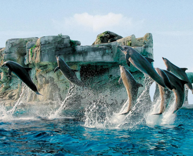 media.Slide-Parchi4Hotel-Mediterraneo-Riccione