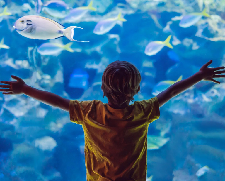 media.Slide-Parchi6Hotel-Mediterraneo-Riccione