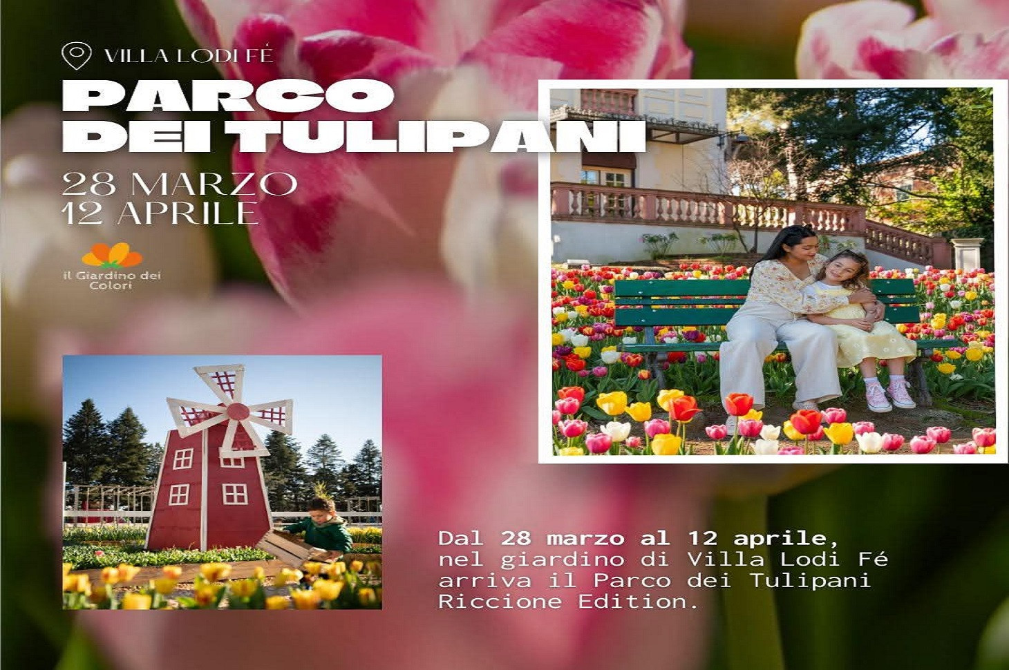 media.PARCO DEI TULIPANI  28 MARZO- 12 APRILE 2026